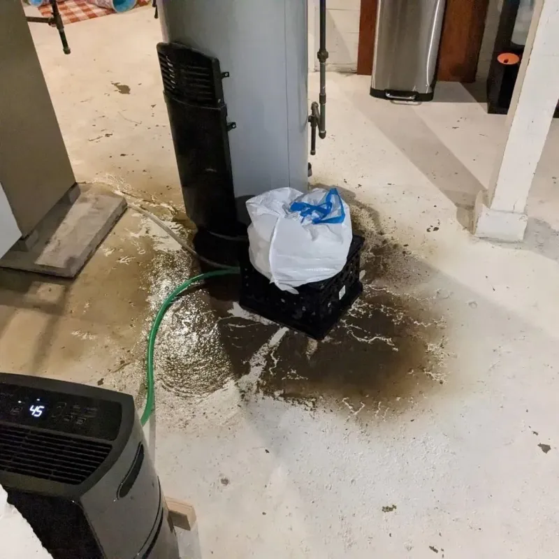 Sewage Backup Cleanup Service in Lynnwood-Pricedale, PA